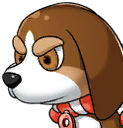 pet