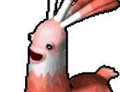 pet